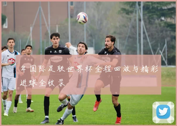 年国际足联世界杯全程回放与精彩进球全收录