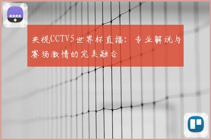 央视CCTV5世界杯直播：专业解说与赛场激情的完美融合