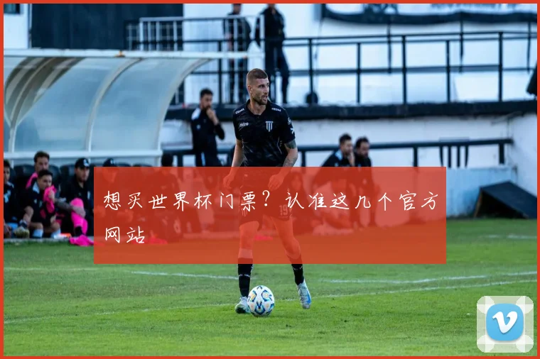 想买世界杯门票？认准这几个官方网站
