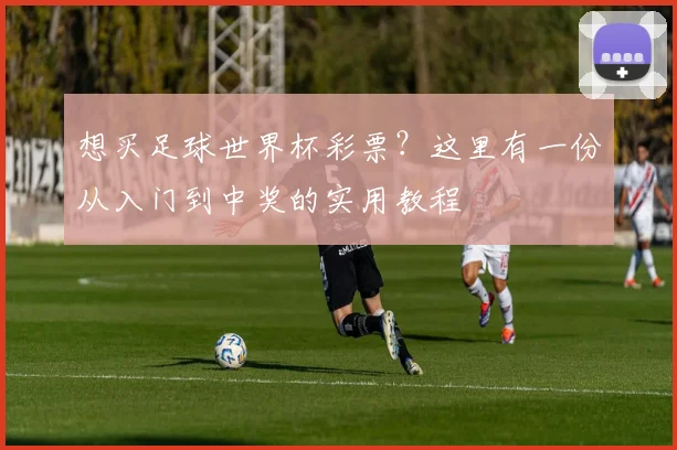 想买足球世界杯彩票?这里有一份从入门到中奖的实用教程