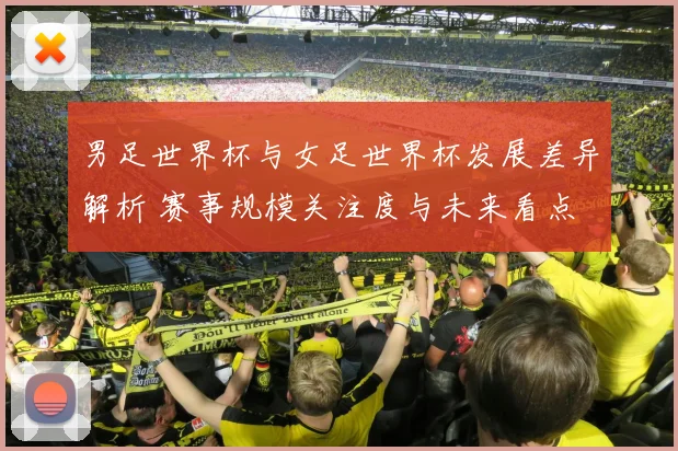 男足世界杯与女足世界杯发展差异解析 赛事规模关注度与未来看点
