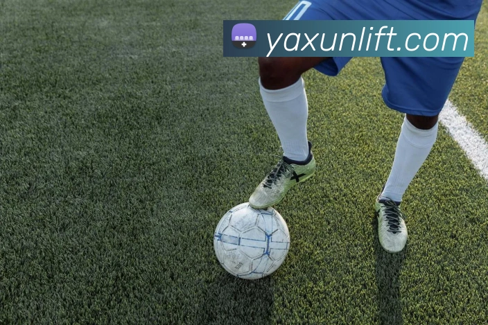 欧宝最新官网平台生态图